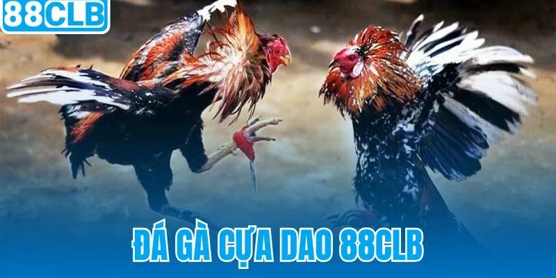 Đá Gà Cựa Dao 88CLB
