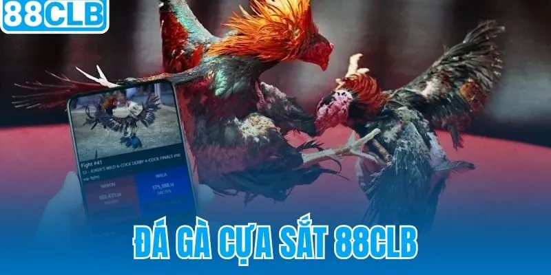 Đá Gà Cựa Sắt 88CLB