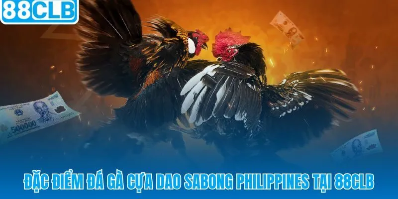 Đá gà cựa dao 88CLB và cơ chế cựa dao sát thương tốc độ cao