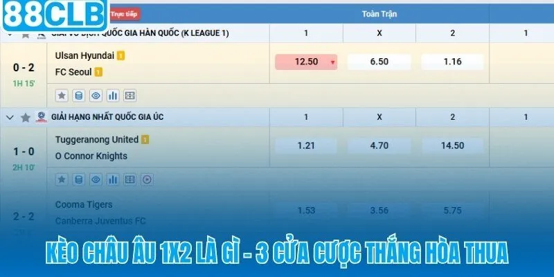 Kèo châu Âu 1x2 và ba cửa cược không chấp rõ ràng nhất