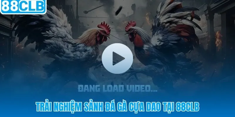 Sảnh đá gà cựa dao 88CLB với livestream HD và kèo cập nhật realtime