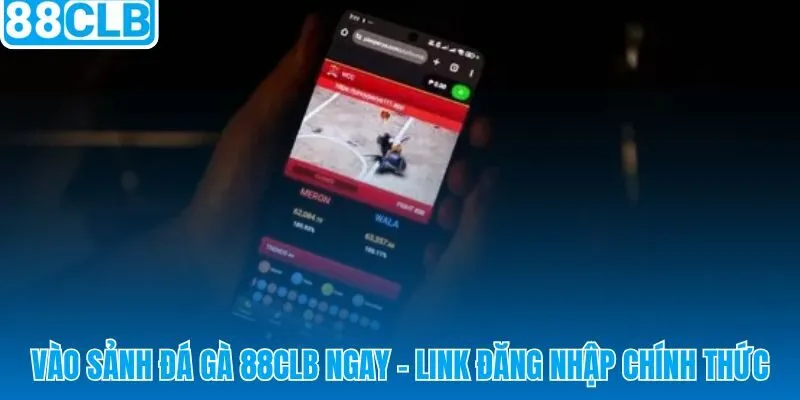 Link đăng nhập chính thức sảnh đá gà 88CLB truy cập trực tiếp